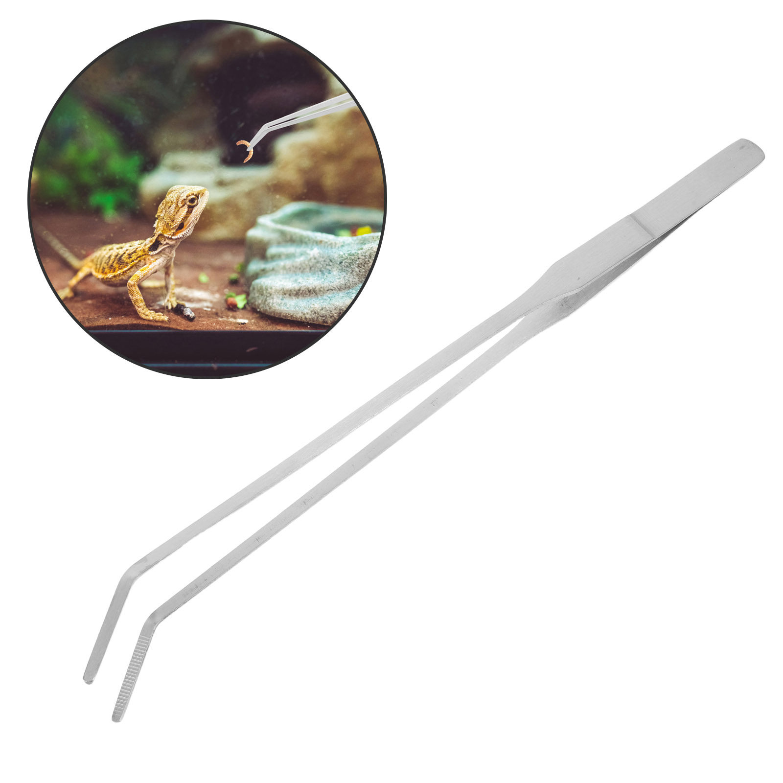 Feeding Tong Stainless - 6 шт. пинцетов для кормления рептилий