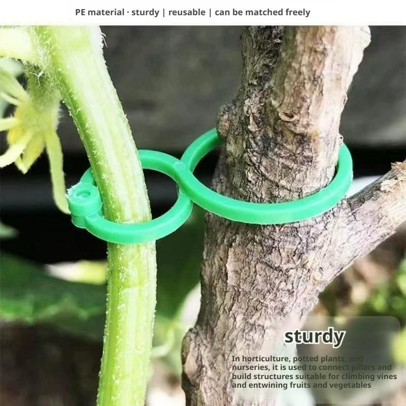 100 шт. зажимов для поддержки  – обзор и цена Vine Climbing Plastic