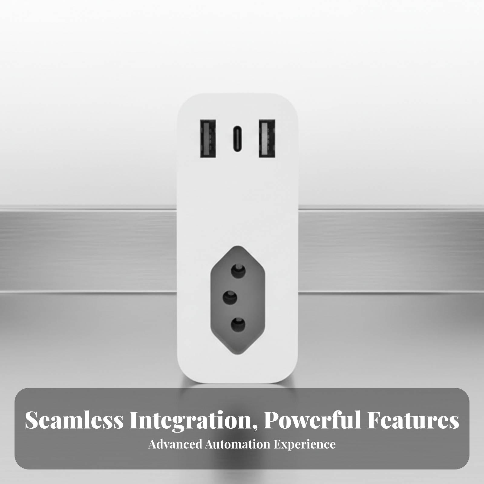 Умная розетка с голосовым упра – обзор и цена Timer Dual Outlet
